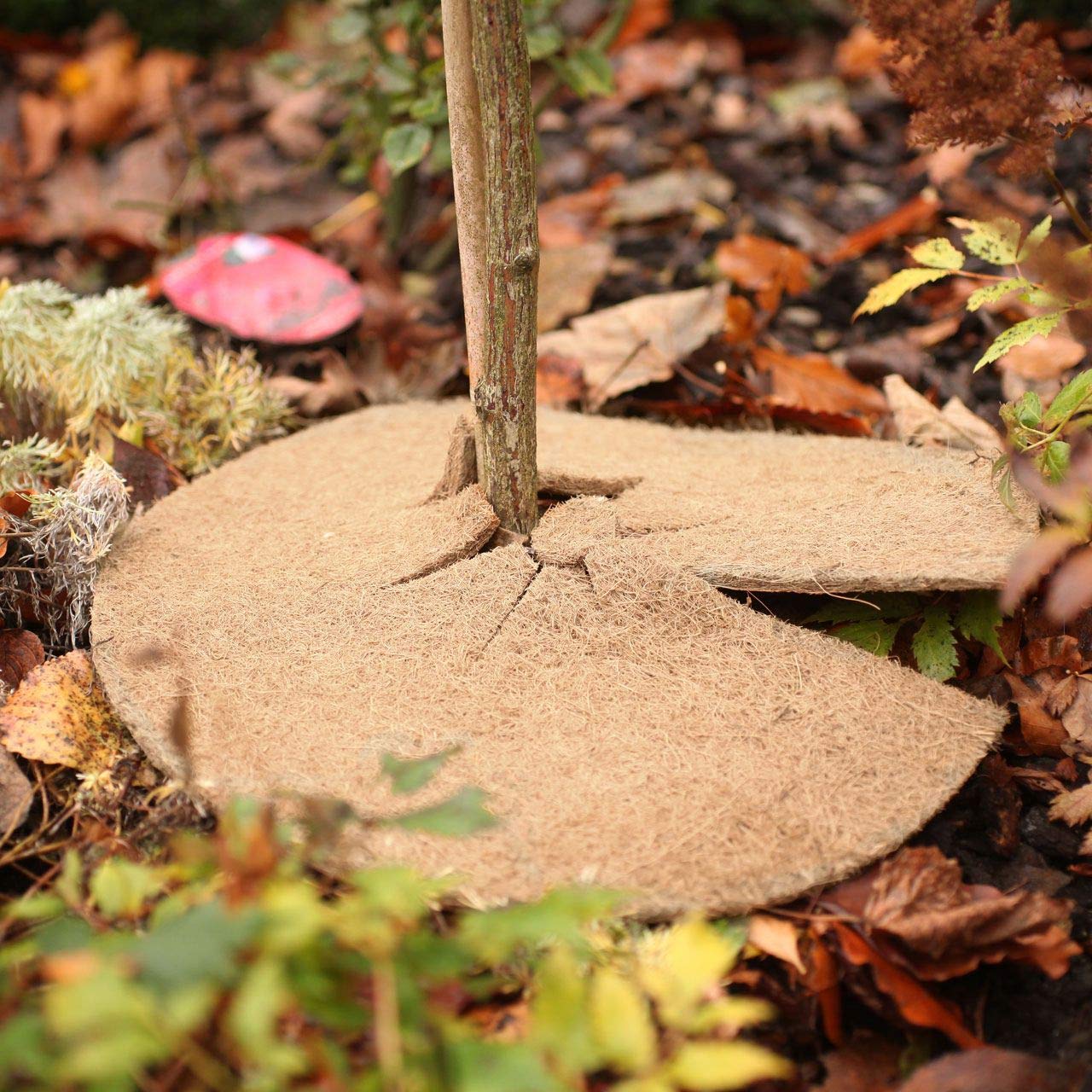 afp-mulchscheiben-jutefilz-abdeckscheibe-mulchscheibe-25cm-natur image 4