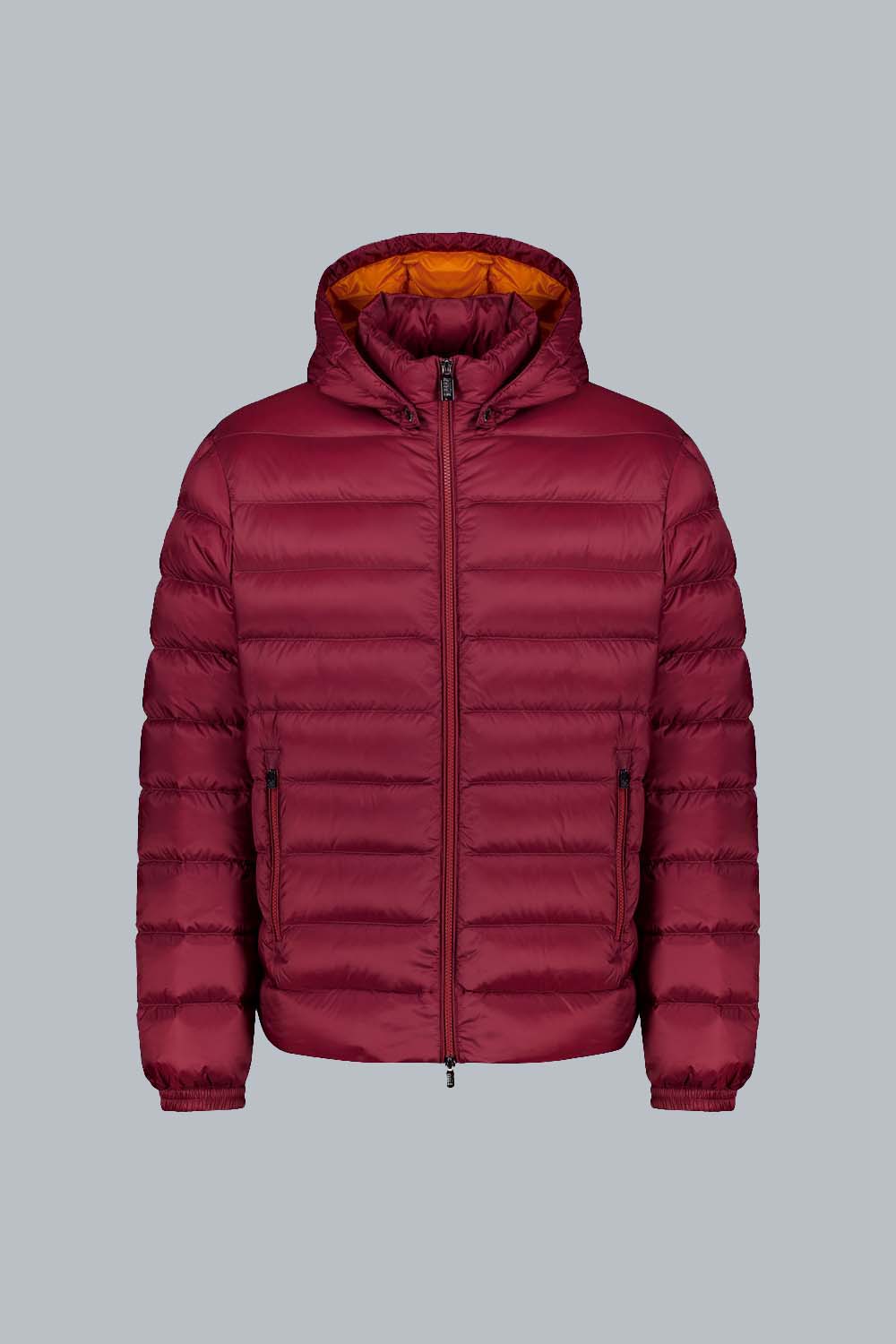 ciesse-piumini-ned-daunenjacke-bordeaux-abnehmbare-kapuze-800-fill image 1