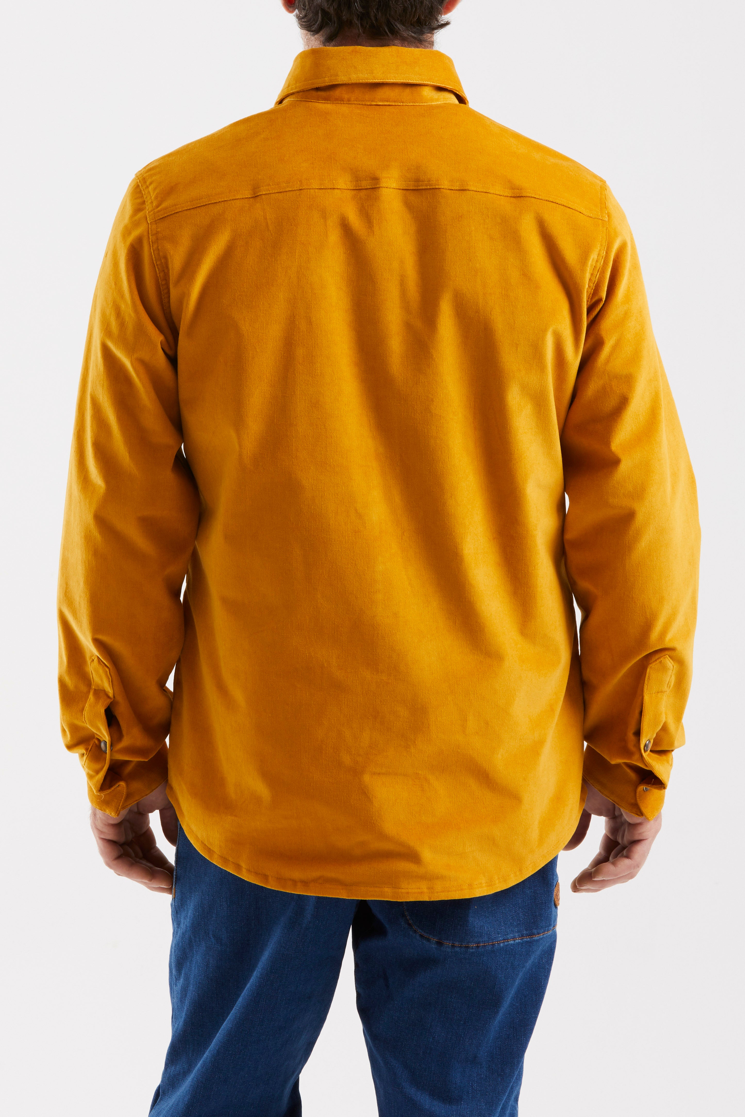 e9-tano-hose-mustard-gestreifter-samt-regular image 2