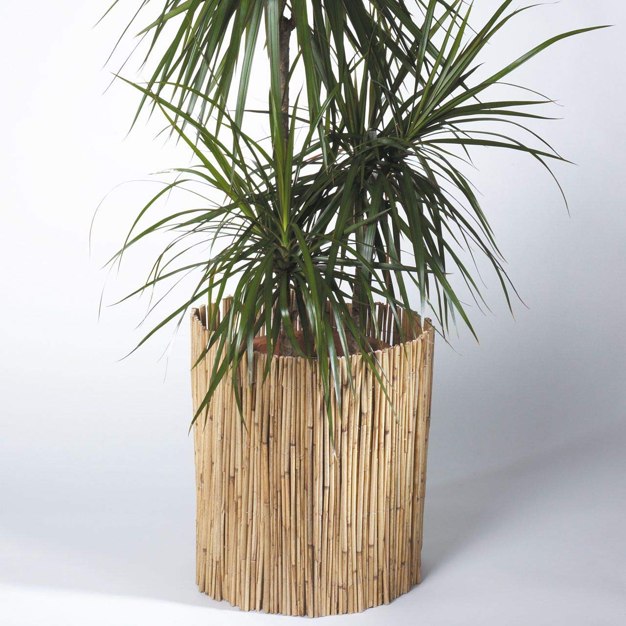 afp-winterschutzmatten-schilfrohrmatte-40x100-stammschutz image 4