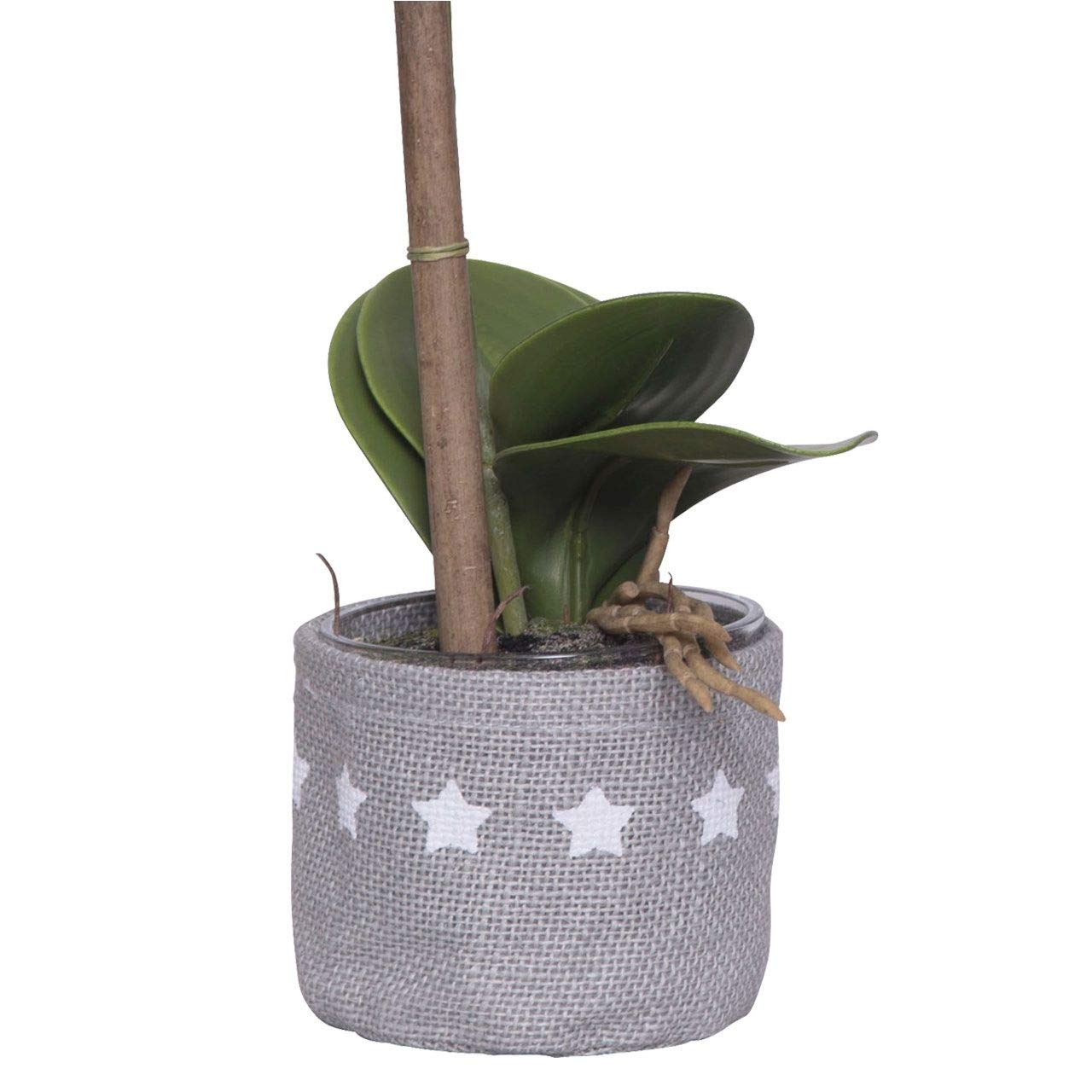 afp-winterschutz-k-bel-jute-stern-grau-8x10-cm-bertopf image 5
