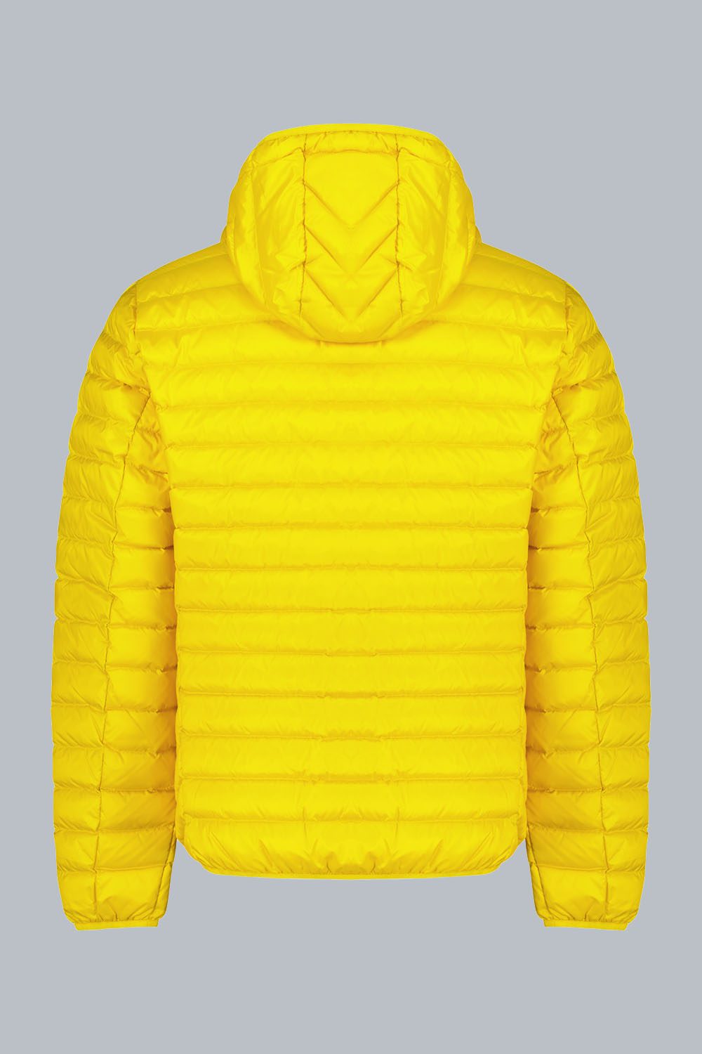 ciesse-outdoor-franklin-2-0-daunenjacke-gelb-kapuze-800-fill image 6