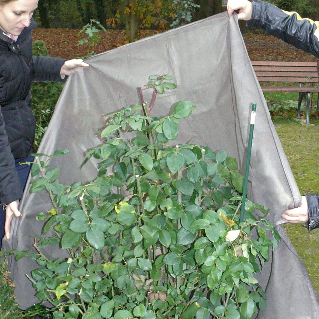 afp-wintervlies-thermomantel-stein-70x150-cm-frostschutz image 3
