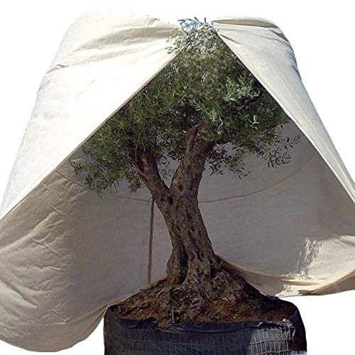 afp-winter-vlieshaube-xxxl-mediterran-beige-350x250-cm-70g image 5