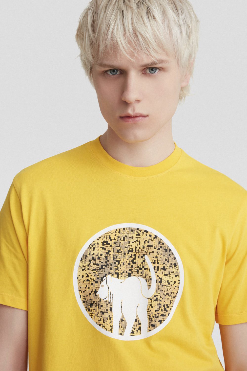 ciesse-outdoor-t-shirt-e-polo-t-shirt-baumwolle-gelb-mit-print image 6