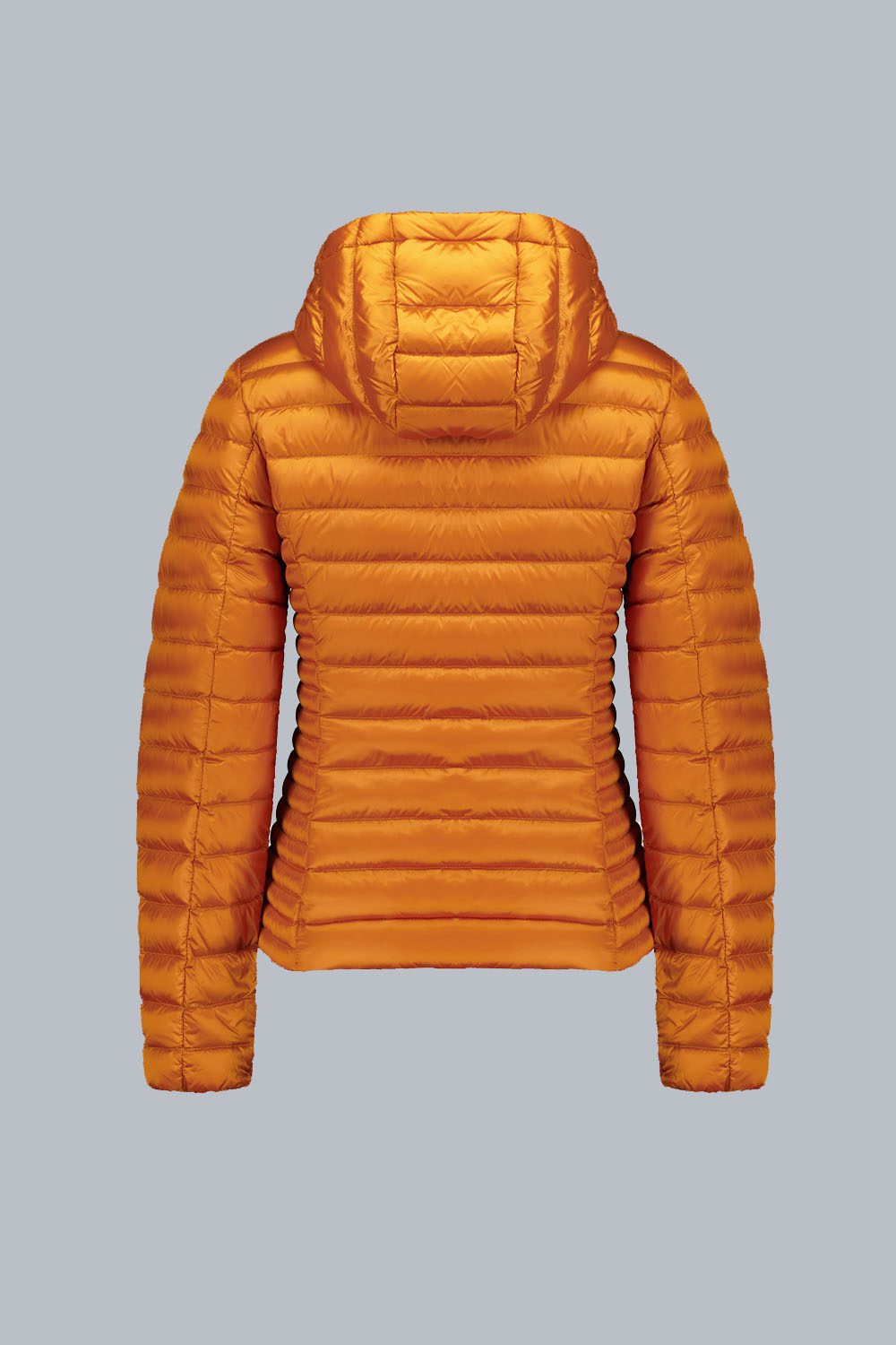 ciesse-outdoor-aghata-daunenjacke-mattone-damen-100g image 6