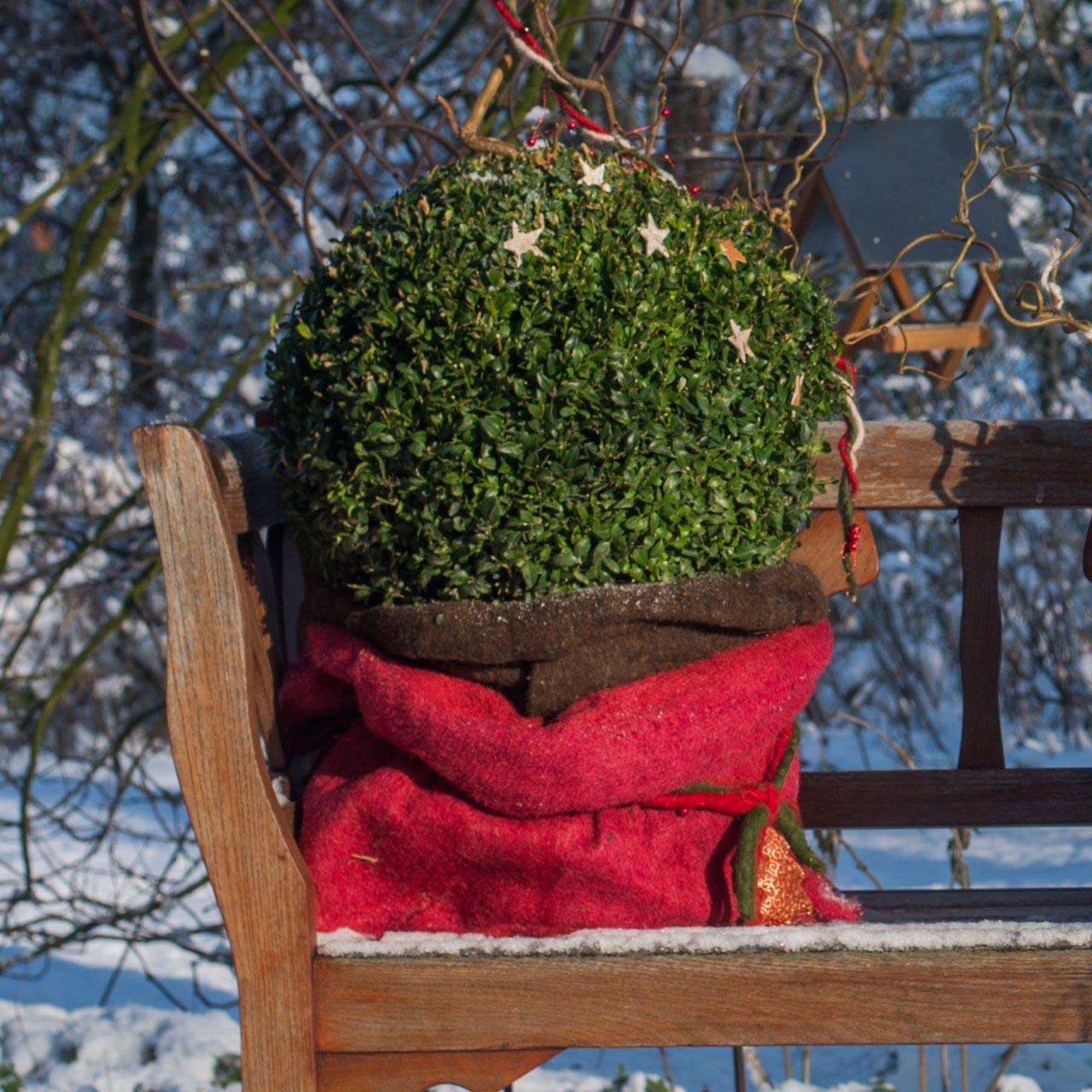 afp-winterschutzmatten-jutefilzmatte-50x150-cm-rot image 5