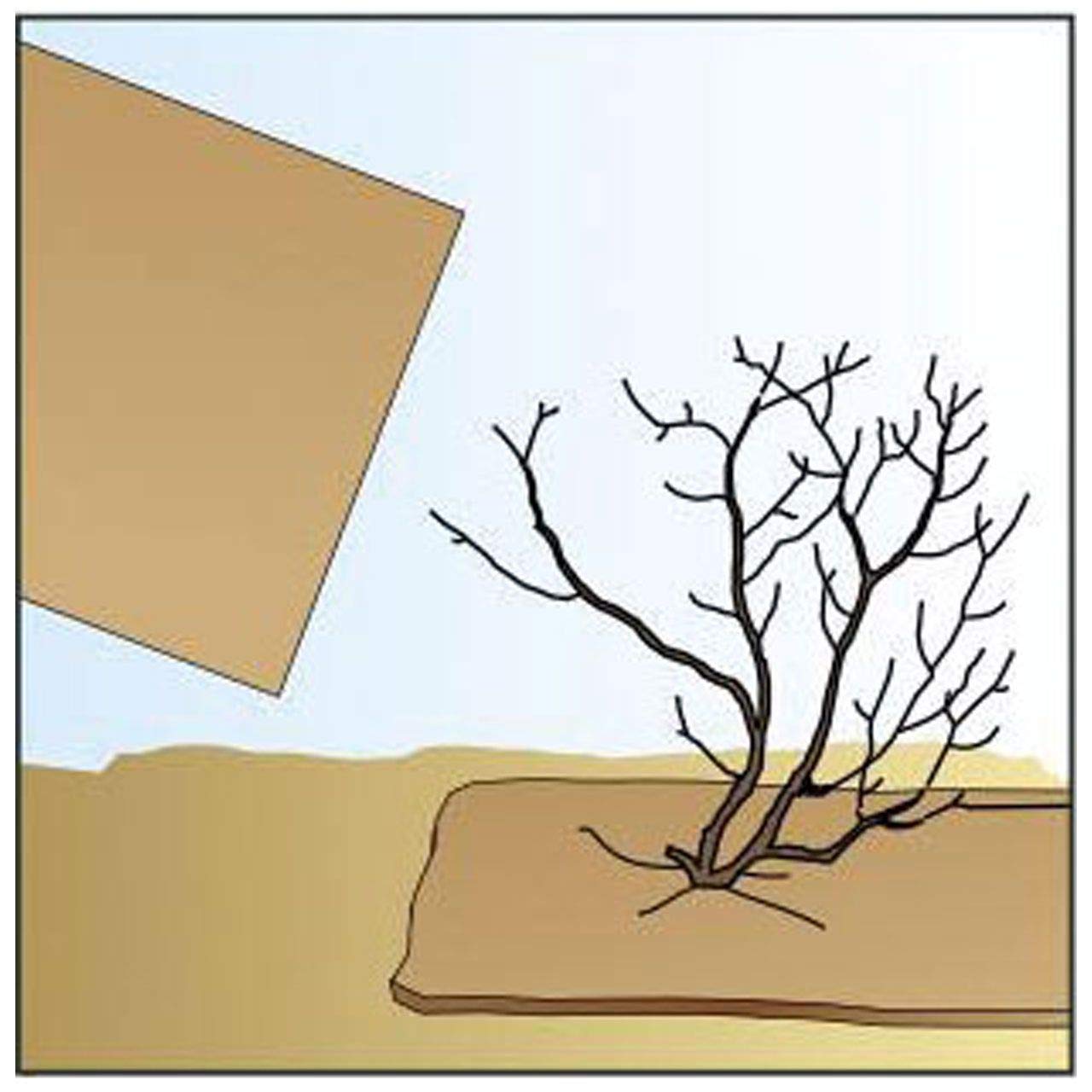 afp-winterschutzmatte-kokos-dunkelbraun-50x150-cm-topfschutz image 7