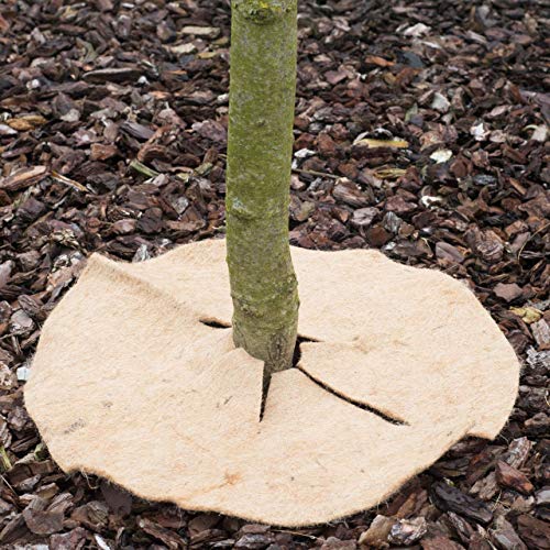 afp-mulchscheiben-jutefilz-abdeckscheibe-mulchscheibe-25cm-natur image 7