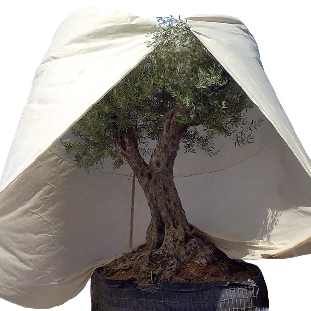 afp-winter-vlieshaube-xxxl-mediterran-beige-350x250-cm-70g image 1