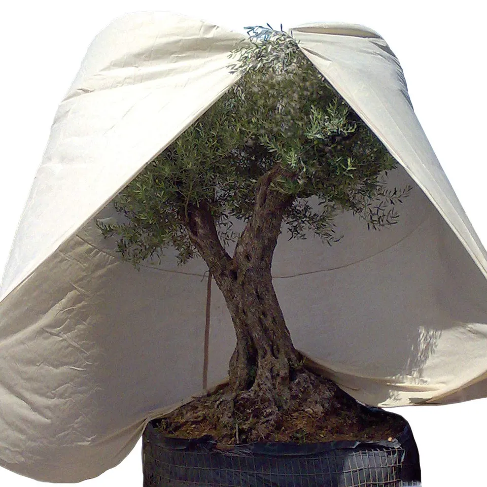 afp-winter-vlieshaube-xxxl-mediterran-beige-350x250-cm-70g image 1