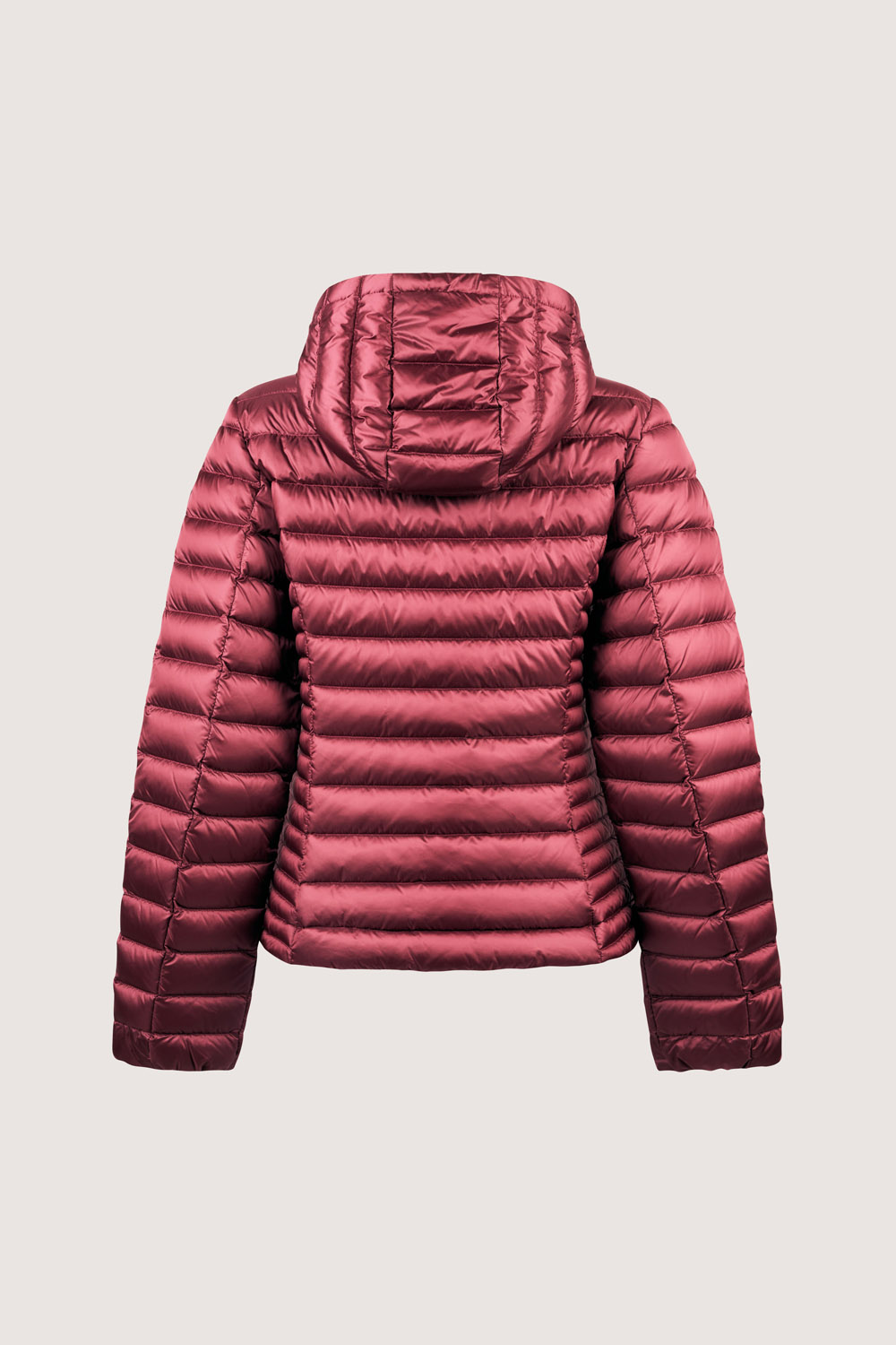 ciesse-outdoor-aghata-2-0-daunenjacke-bordeaux-mit-kapuze image 6