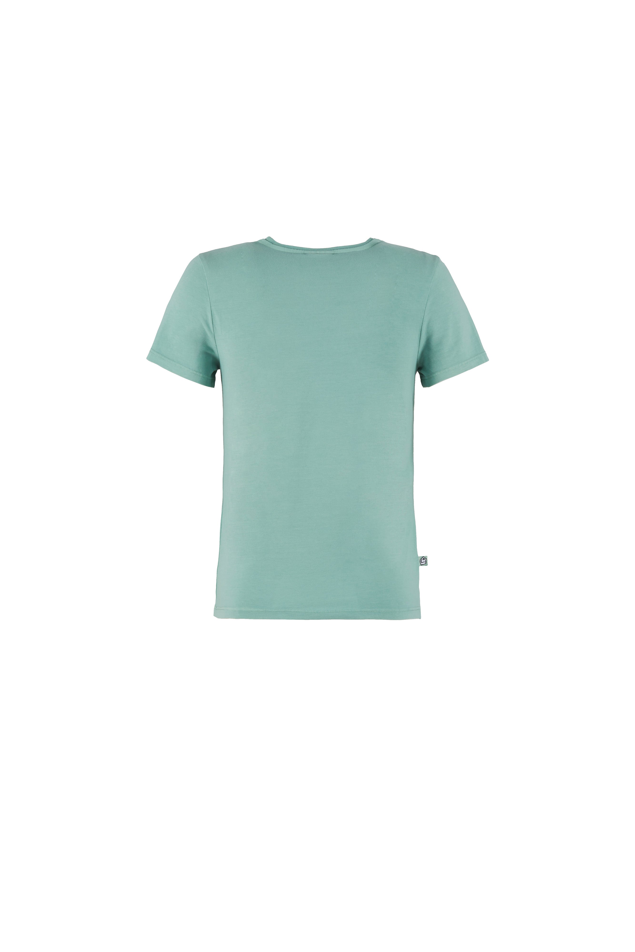 e9-b-caddy-t-shirt-apatite-734-kinder-bio-baumwolle-print image 8