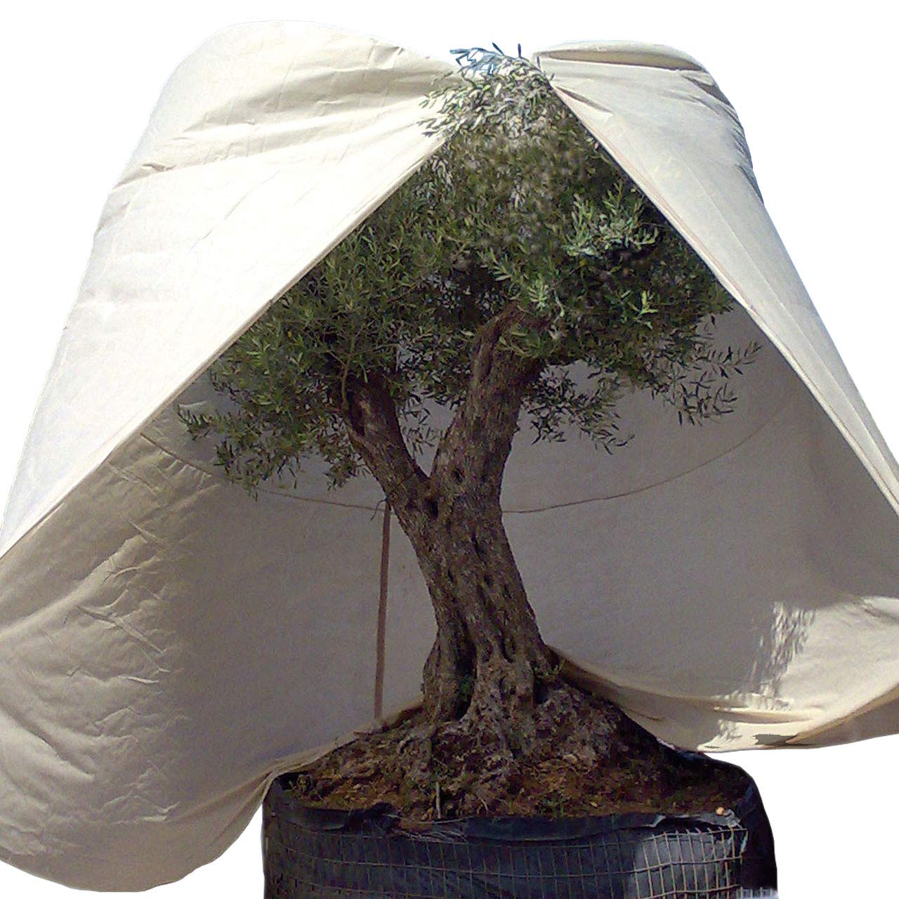 afp-winter-vlieshaube-xxxl-mediterran-beige-350x250-cm-70g image 1