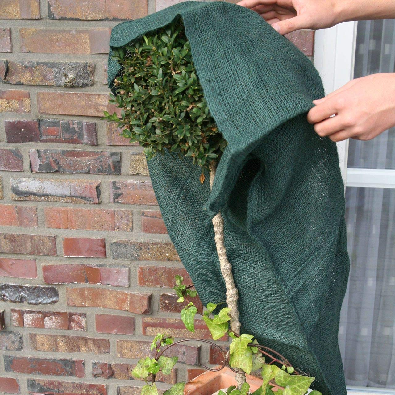 afp-jutesack-gr-n-60x80-cm-winterschutz-rosen-230g image 2