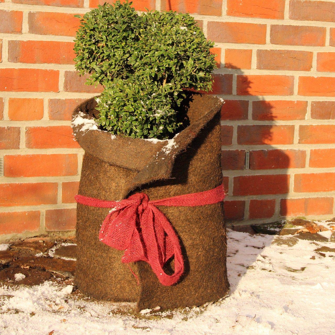afp-winterschutzmatte-kokos-dunkelbraun-50x150-cm-topfschutz image 5