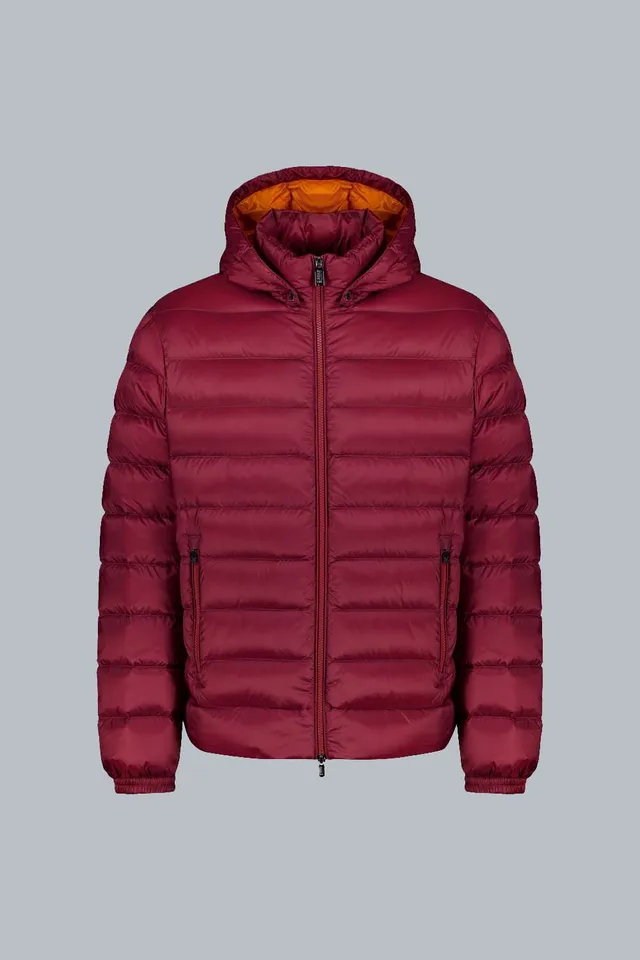ciesse-piumini-ned-daunenjacke-bordeaux-abnehmbare-kapuze-800-fill image 1