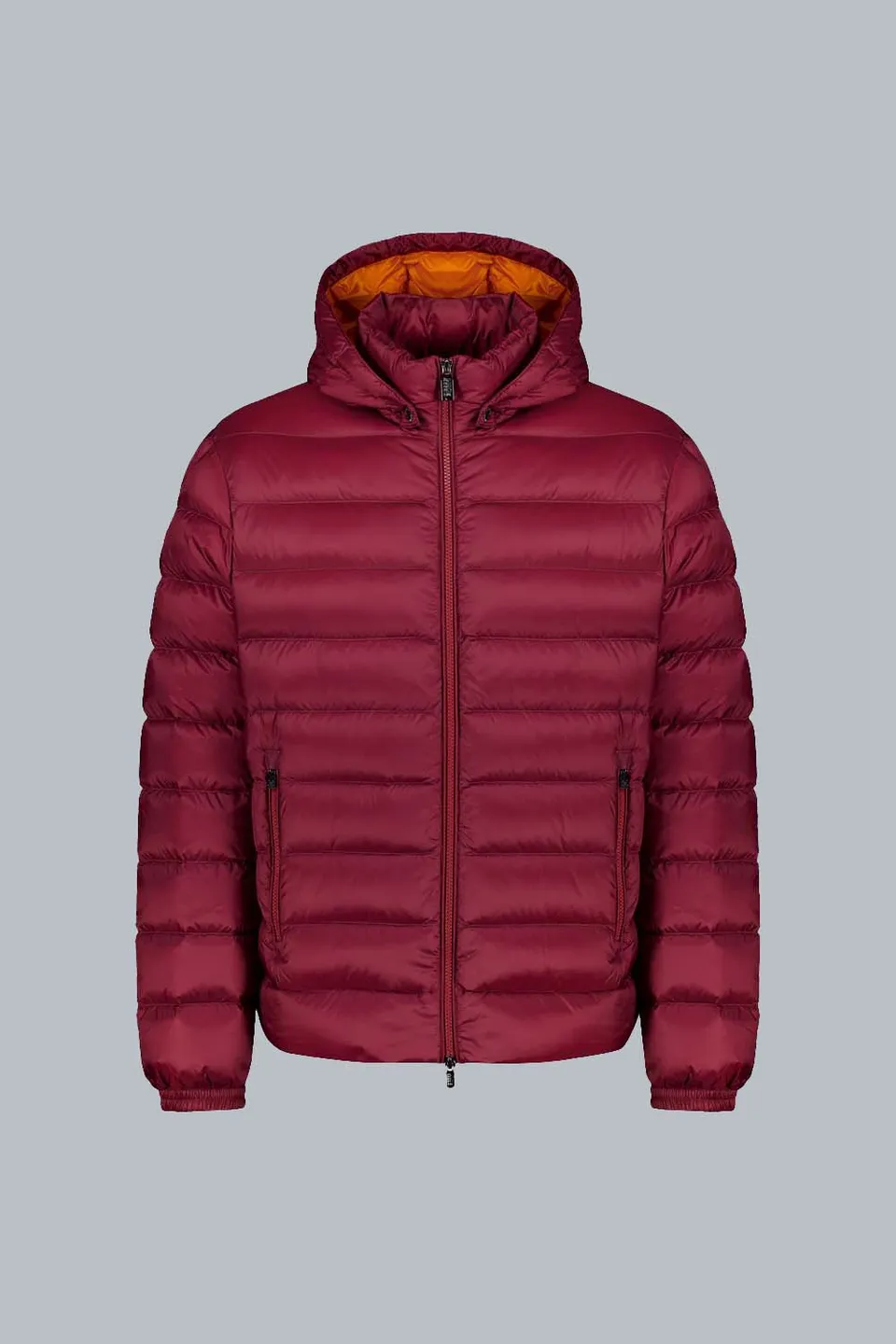 ciesse-piumini-ned-daunenjacke-bordeaux-abnehmbare-kapuze-800-fill image 1