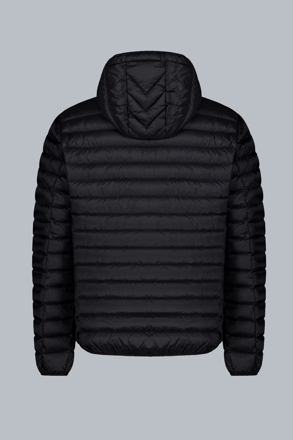 ciesse-franklin-2-0-daunenjacke-schwarz-kapuze-800-fill-herren image 2