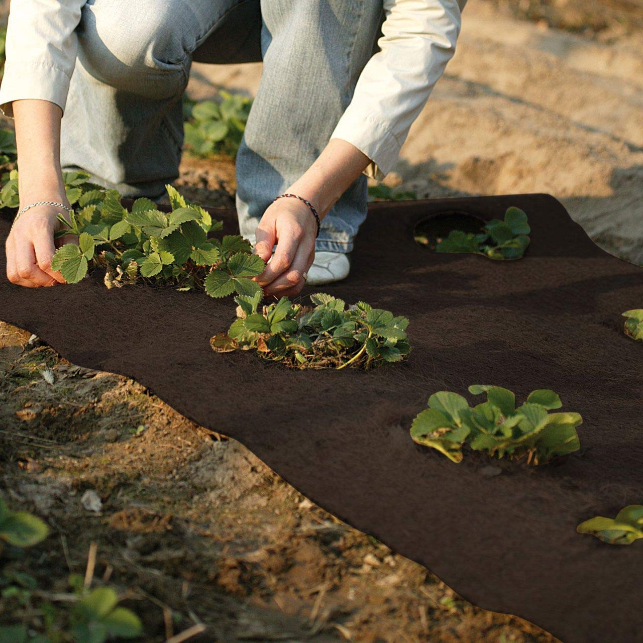 afp-winterschutzmatte-kokos-dunkelbraun-50x150-cm-topfschutz image 3