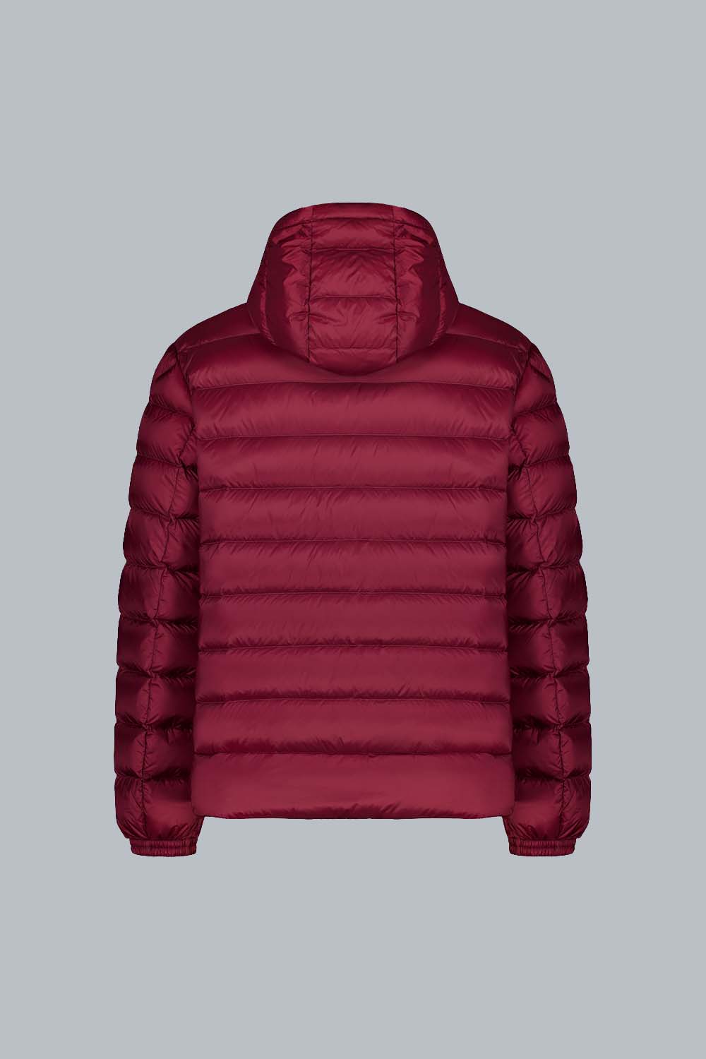 ciesse-piumini-ned-daunenjacke-bordeaux-abnehmbare-kapuze-800-fill image 2