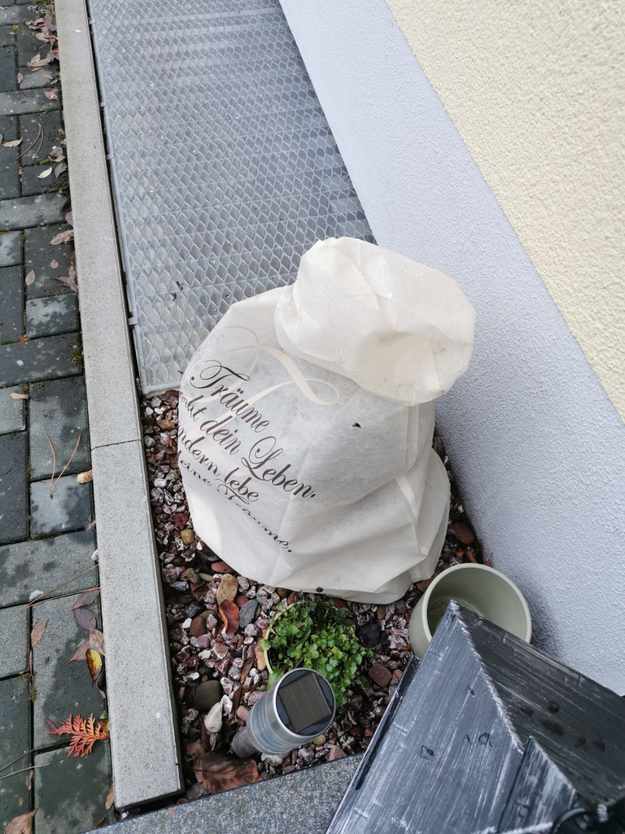 Spruch ist süß