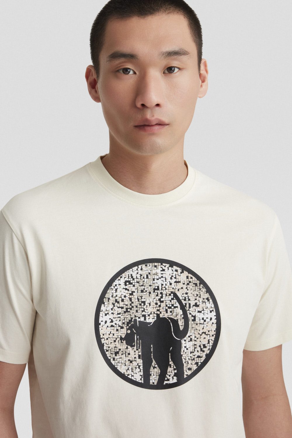 ciesse-outdoor-t-shirt-beige-baumwolle-rundhals-mit-print image 6
