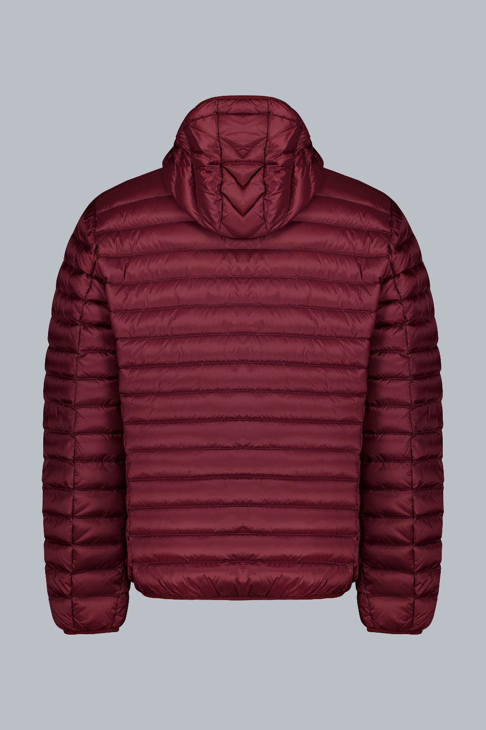 ciesse-franklin-2-0-daunenjacke-rot-100g-kapuze image 2