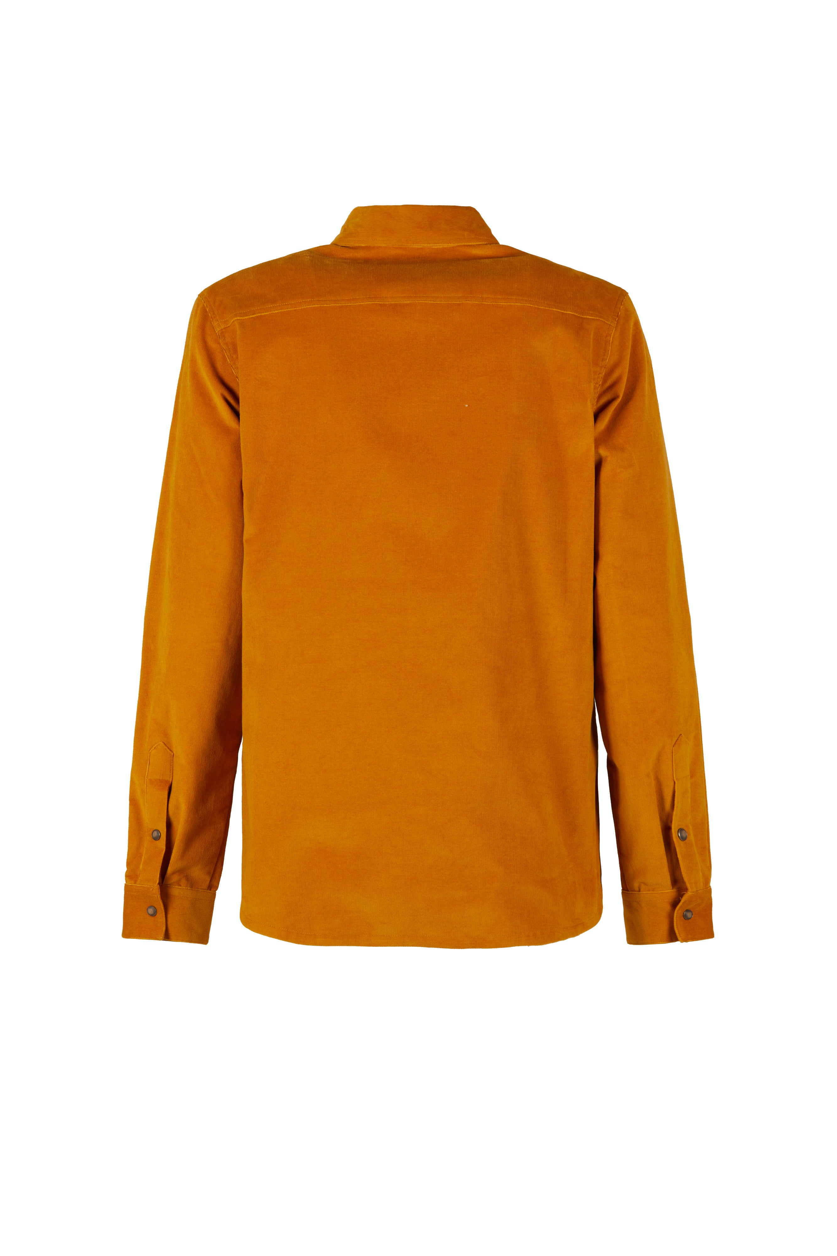 e9-tano-hose-mustard-gestreifter-samt-regular image 5