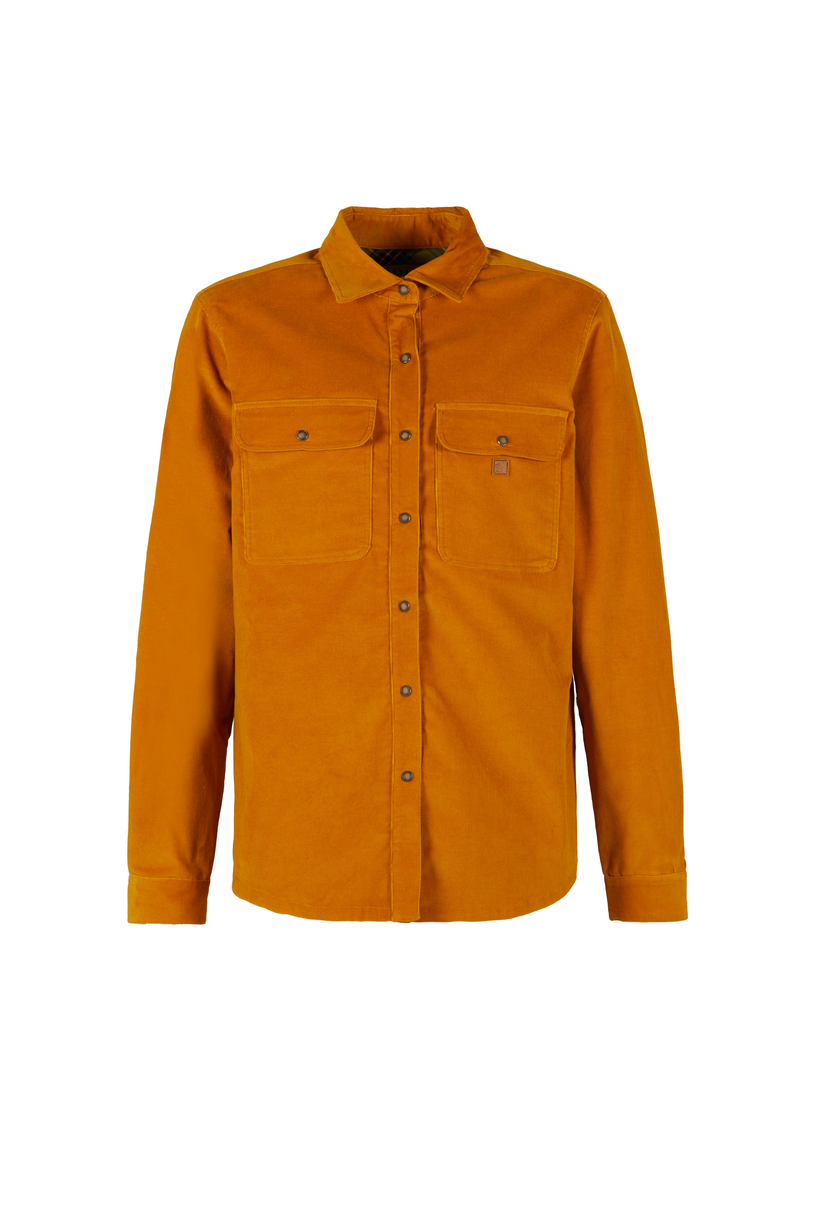 e9-tano-hose-mustard-gestreifter-samt-regular image 4
